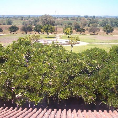 Penzion Quinta Do Casalinho Almeirim Exteriér fotografie