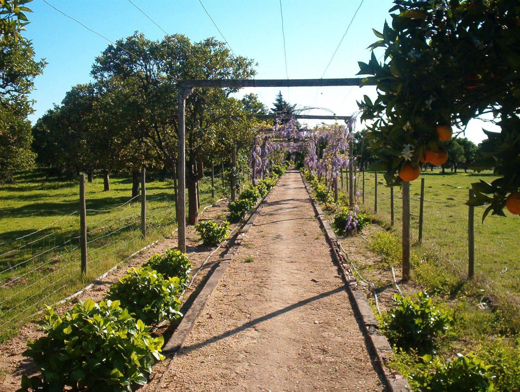 Penzion Quinta Do Casalinho Almeirim Exteriér fotografie